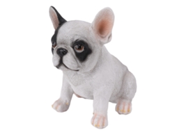 Adereço de Jardim Buldogue Resina S/MARCA