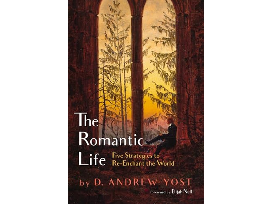 Livro Romantic Life de D Andrew Yost (Inglês)