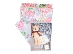 Conjunto Presente Aniversário Urso Pelúcia Caixa Presente