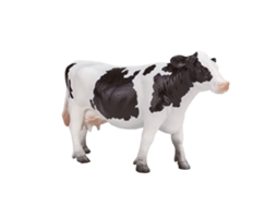 Vaca Holstein Xl Mojo Fun
