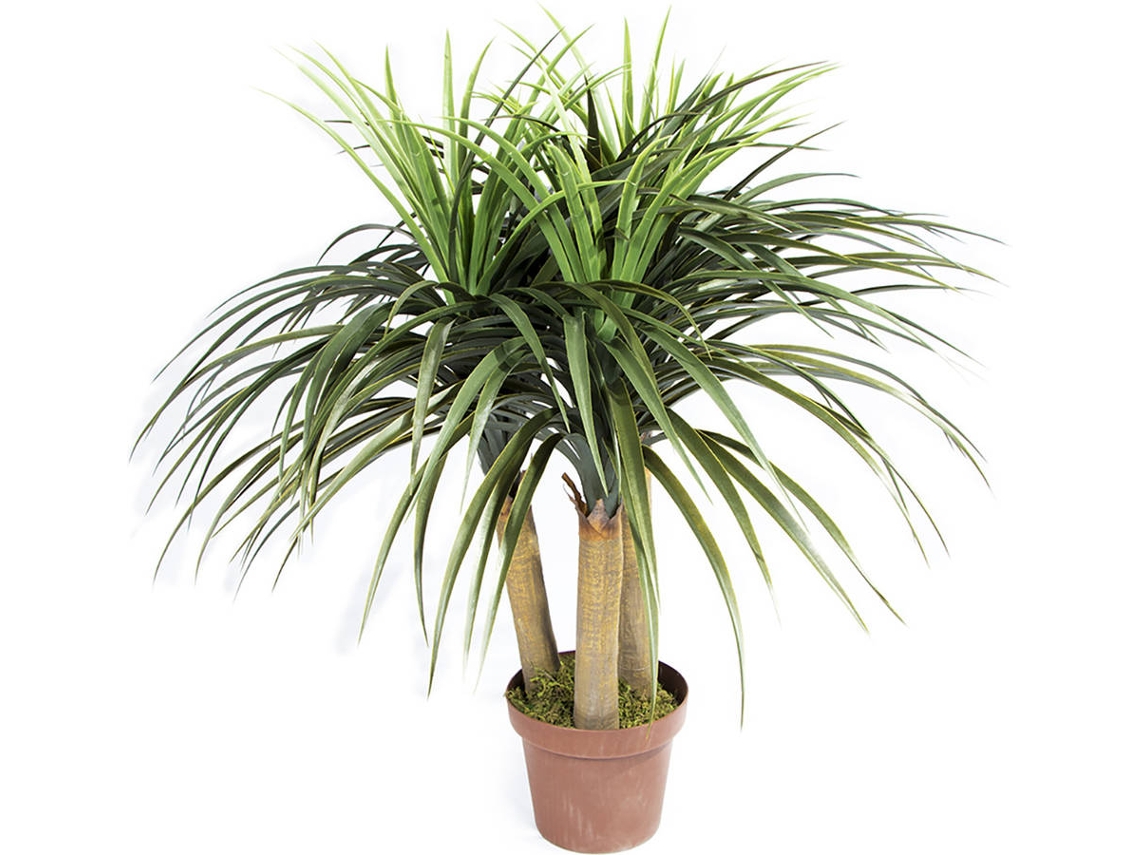 Planta Artificial CATRAL Nolina Mini (75 cm)
