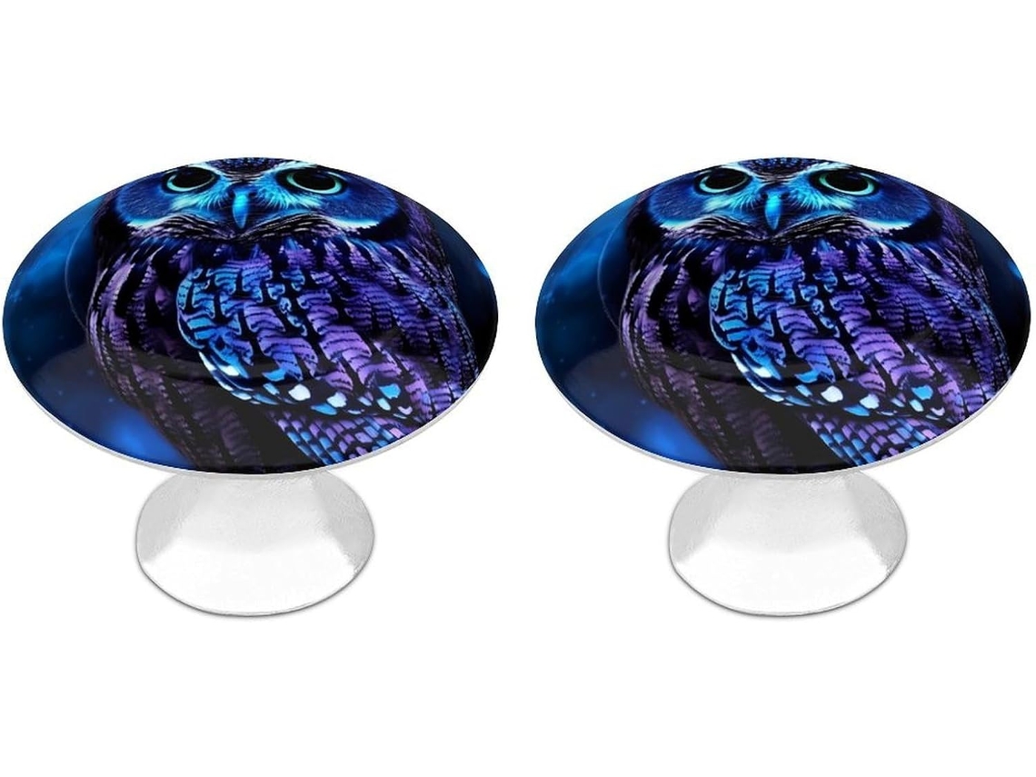Conjunto De 2 Puxadores Aço Inoxidável Para Armários Cozinha, Com Design Personalizado De Coruja Azul Ideais Para