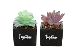 2 Peças de Bonsai Suculento Artificial em Bacia Quadrada de Cimento Simulação de Flores Decoração Criativa para Casa RNEMITERY