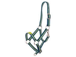 Cabresto para Potros PREMIERE Equitation Fun