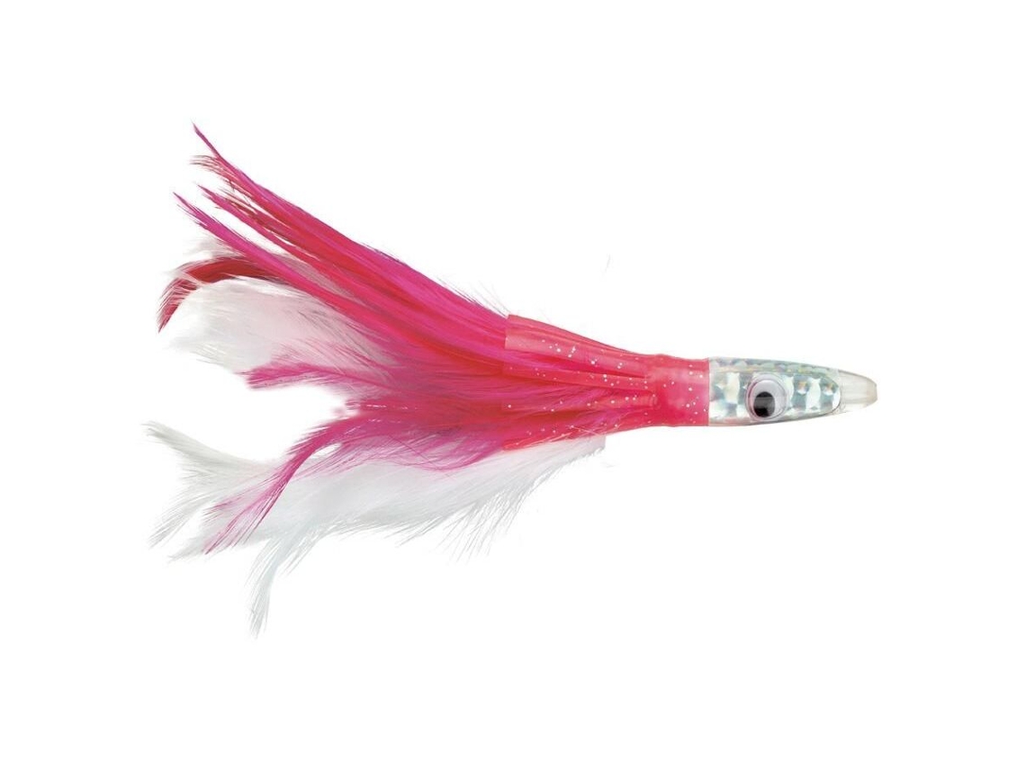Isco WILLIAMSON Albacore Feather 6