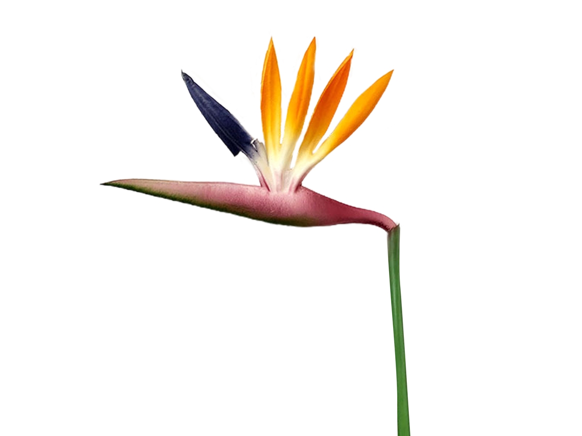 Flor artificial Bird Of Paradise em seda para decoração de interior LAXISCREED