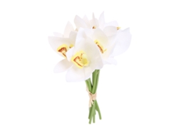 Ramo de Orquídea Cymbidium Pequena, 6 Ramos, para Decoração LAXISCREED