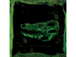 CD Avey Tare - Down There
