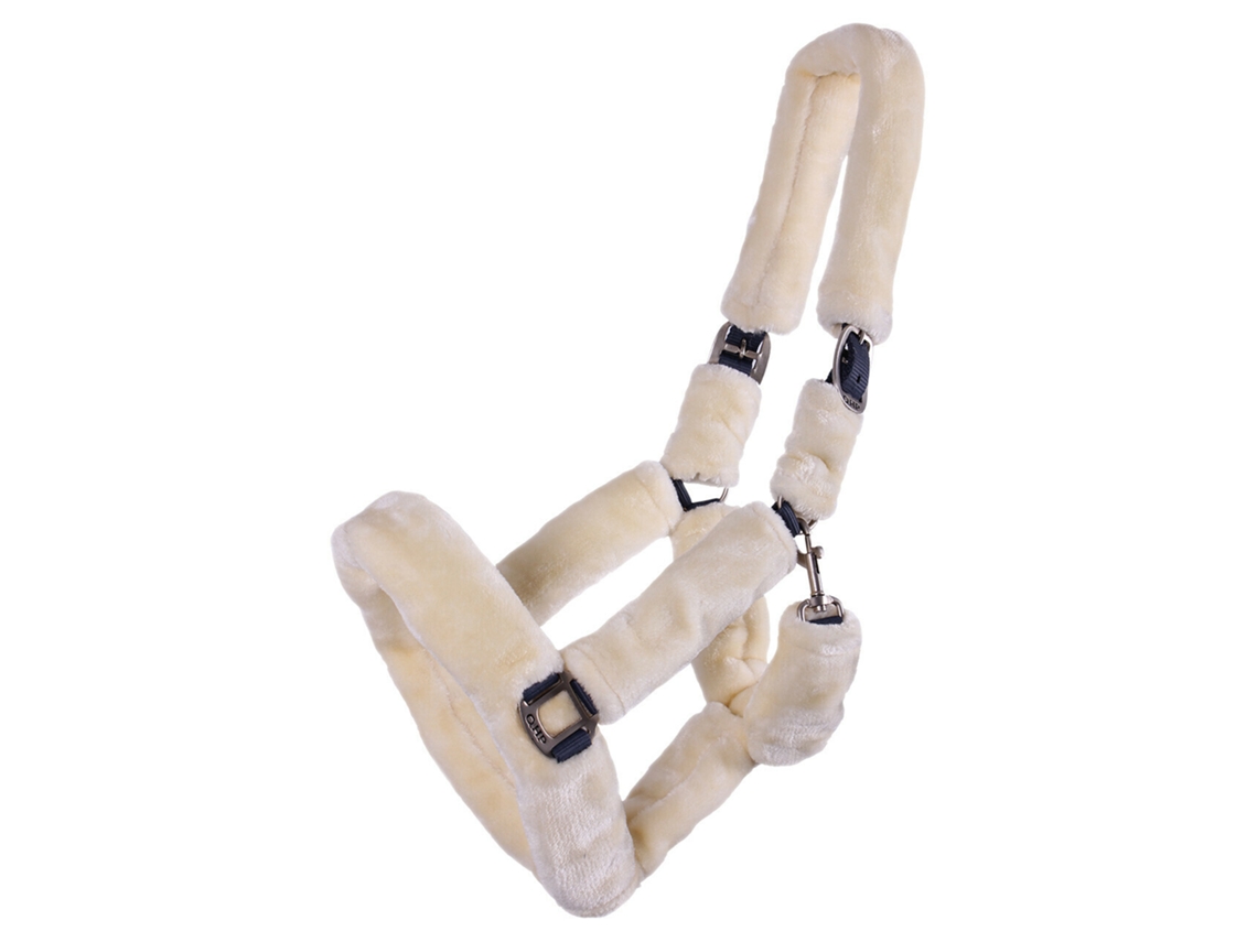 Halter QHP Alaska