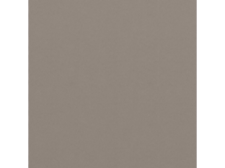 Tela de Varanda Cinzento Acastanhado MAISON EXCLUSIVE 120x400 cm