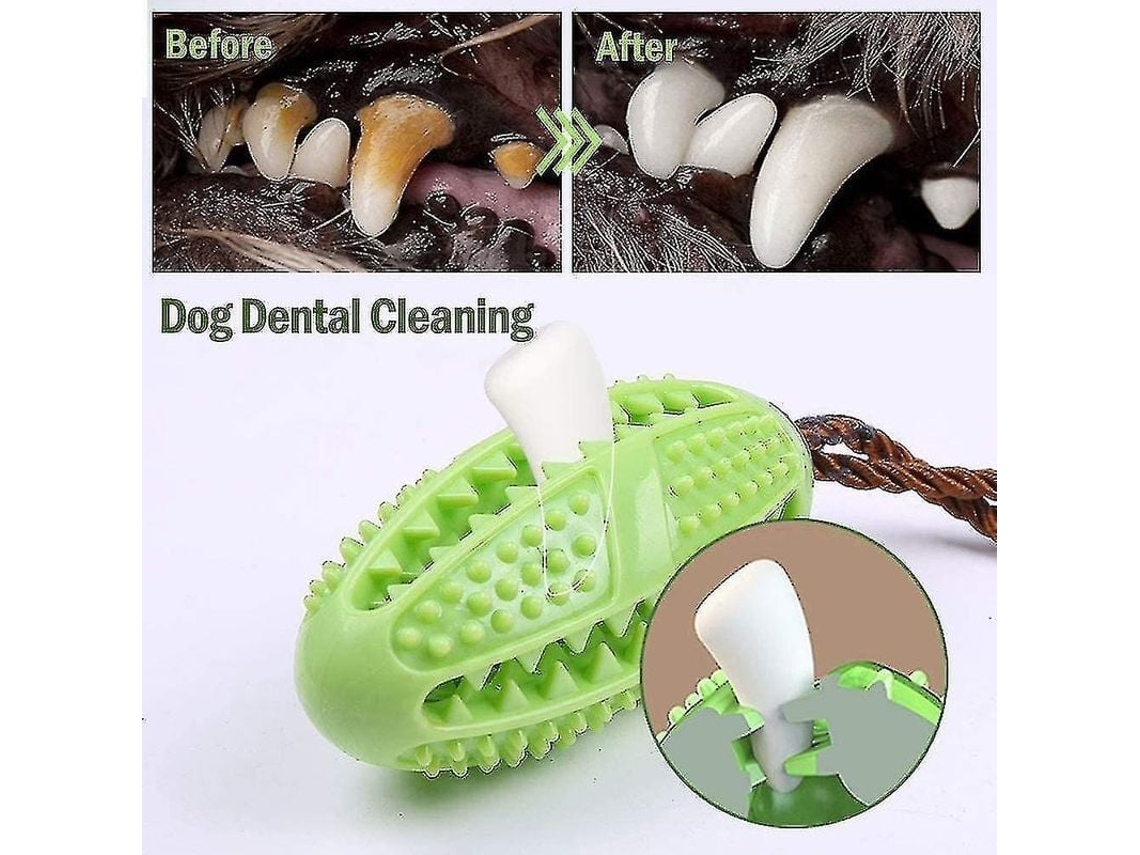 2026 palo de Cepillo para Dientes de Perro, Cuidado Dental Perro, Juguete Mascota Goma Natural no Tóxica Resistente a Mordiscos Eficiente Verde