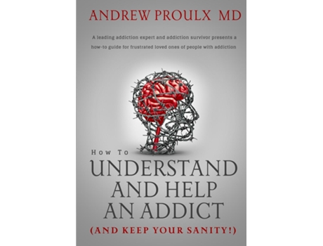 Livro How to Understand and Help an Addict de Andrew Proulx (Inglês)