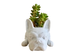 Vaso Decorativo Cachorro De Resina Para Plantas