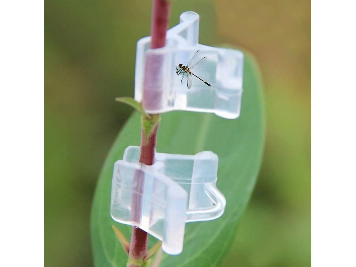 Clipes de Enxertia de Plantas, Suportes Transparentes para Tomates, Legumes e Flores, Pacote com 100 unidades