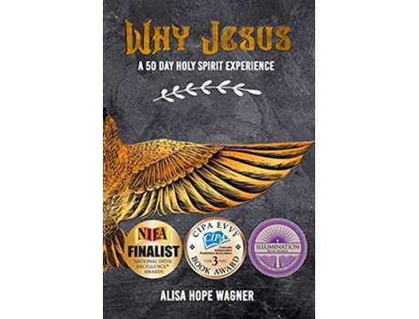 Livro Why Jesus A 50 Day Holy Spirit Experience de Alisa Hope Wagner (Inglês)