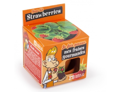 Jogo de Tabuleiro RADIS ET CAPUCINE I Grow My Strawberry (4 Anos)