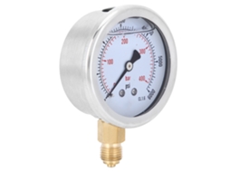Manômetro de Pressão Óleo Radial 0-400bar | S/MARCA