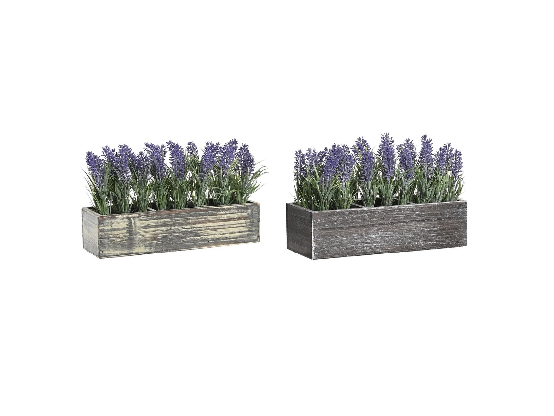 Planta Decorativa DKD HOME DECOR (Multicor)