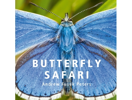 Livro Butterfly Safari de Andrew Fusek Peters (Inglês)