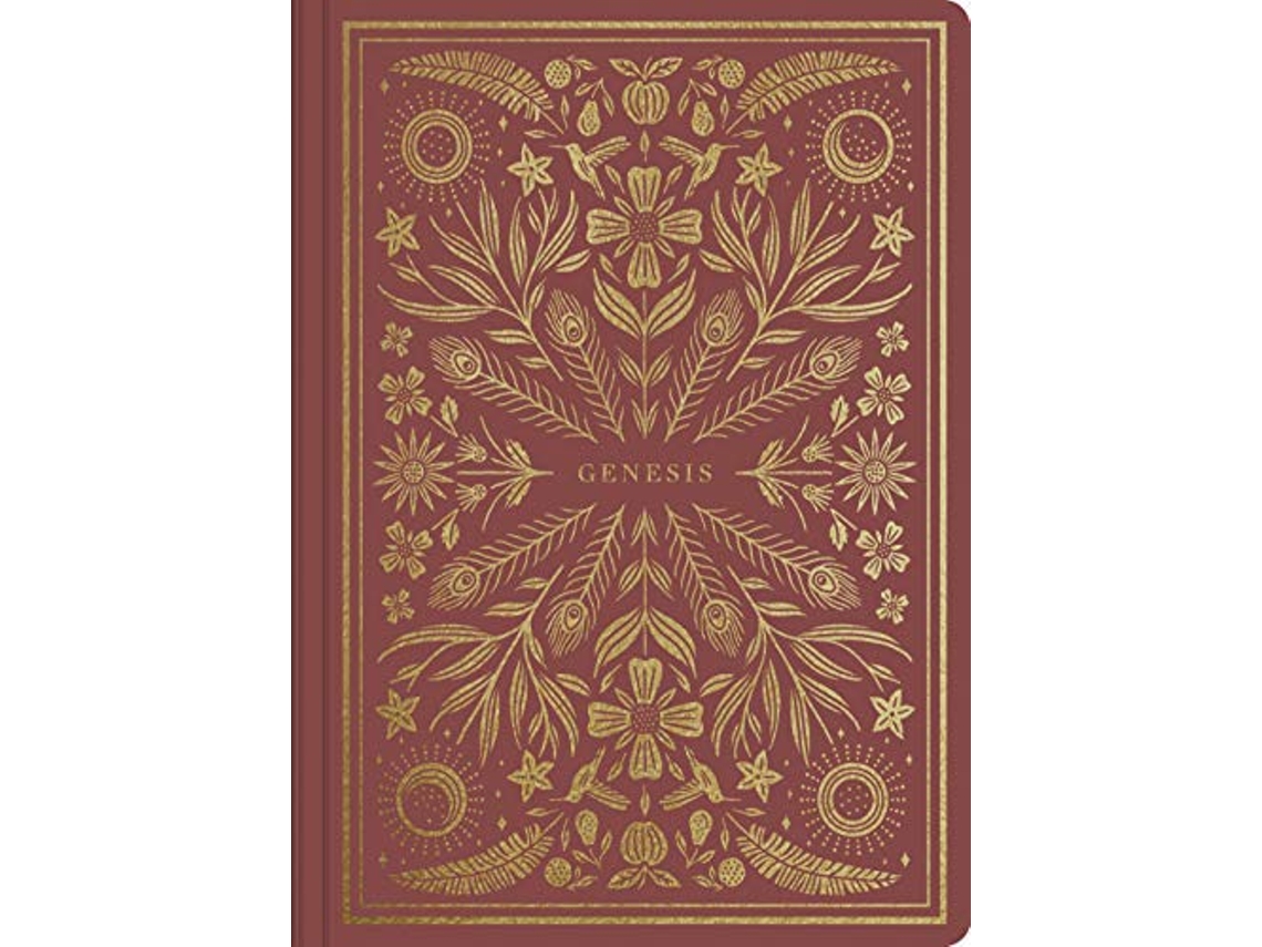 Livro ESV Illuminated Scripture Journal de Esv Bibles (Inglês)