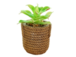 Flor Artificial Simulada Bonsai Suculento Grande Decoração Criativa Planta Artificial em Vaso NEVEANCE