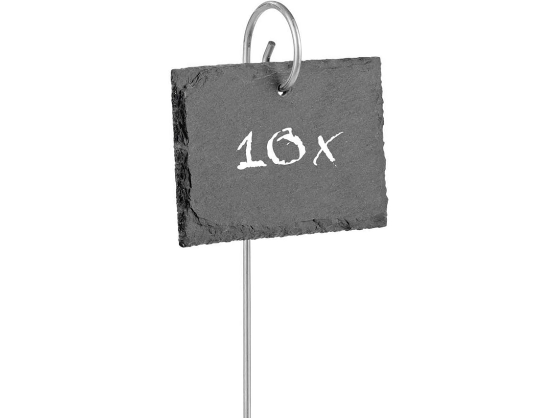 Conjunto de 10 Plantas de Ardósia, com Identificação Individual de Cada Planta. AQUAFORGE