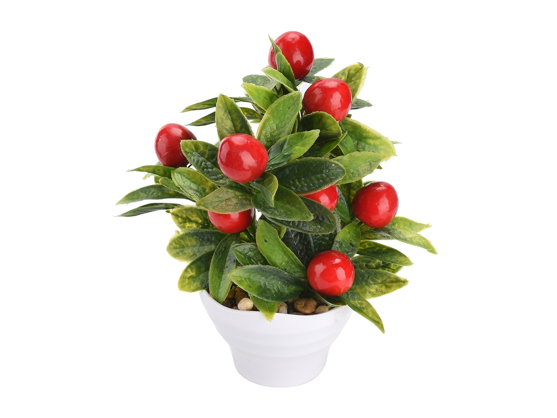 Embalagem de 10x10x20cm para Flores com altura total de 19,5cm LAXISCREED