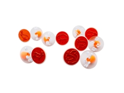 Conjunto De Carimbos Eduplay Com Pegadas De Animais Conjunto De Brinquedo Com 12 Carimbos