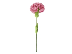Laxiscreed Buquê De Flores De Lã Tecida Com Cravos Para Decoração De Interior