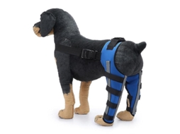 Protector de Rodilla para Perros con Doble Soporte Posterior MARCA