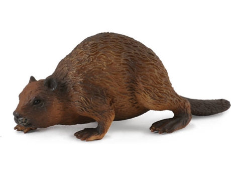 Figura  Beaver