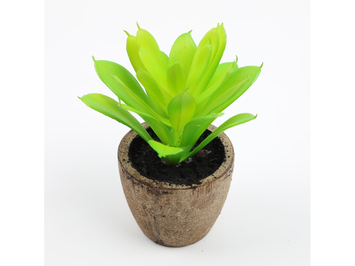 Conjunto de 2 Suculentas Artificiais Plástico com Vaso 12 Cm BRILVIBERA