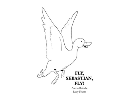 Livro Fly Sebastian Fly de Aaron Brindle (Inglês)