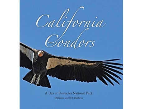 Livro California Condors A Day at Pinnacles National Park de Shirlaine Baldwin e Bob Baldwin (Inglês - Capa Dura)