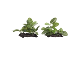 2pcs Plantas Artificiais Para Aquário Decoração Paisagismo Verde