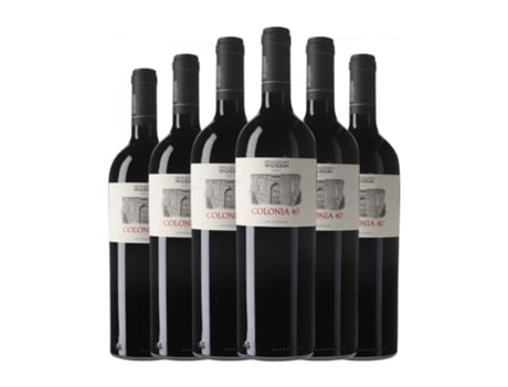 Vinho COLONIAS DE GALEÓN Colonia 40 (0.75 L - 6 Unidades)
