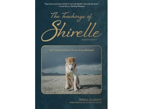 Livro The Teachings of Shirelle Life Lessons from a Divine Knucklehead de Douglas Green (Inglês)