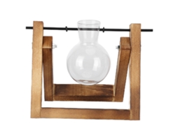 Terrário de Vidro com Suporte de Madeira para Decoração | S/MARCA