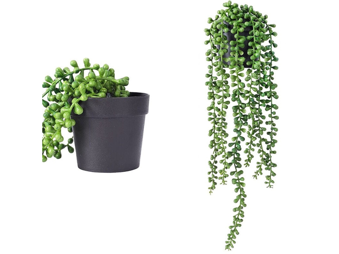 HYMNORA Pcs Plantas Suspensas Suculentas Lágrimas Dos Amantes De Suculentas Arte Suculenta Para Decoração Interior E Exterior Jardim Suspenso
