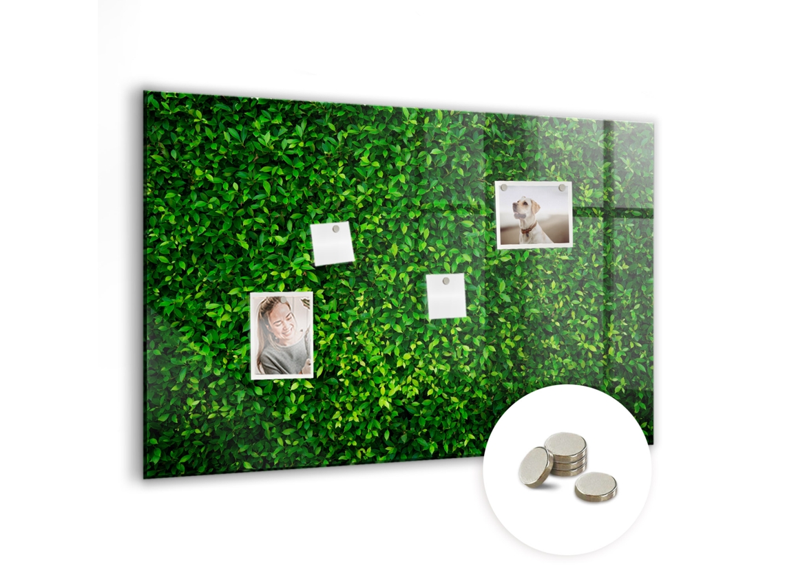 Quadro Magnético Folhas De Cerca Viva Para O Escritório Espelharte (90x60 Cm)