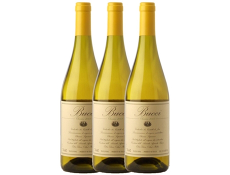 Bucci Classico Verdicchio Marche 75 cl (Caixa de 3 unidades)