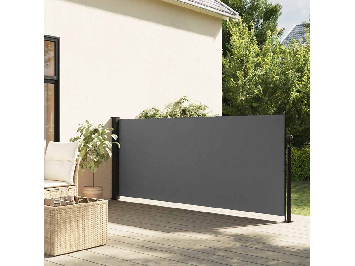 Vidaxl Toldo Lateral Retrátil Antracite 117x300 Cm