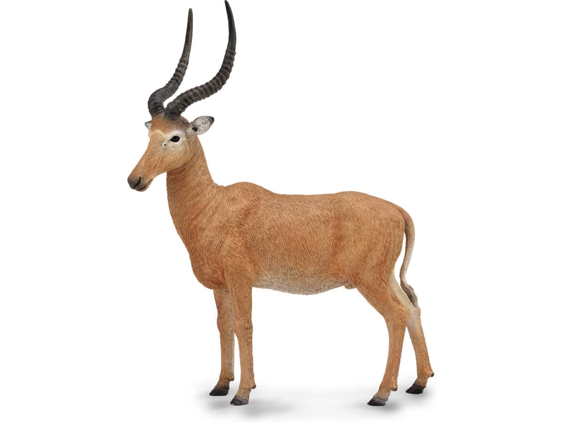 Figura COLLECTA Hirola