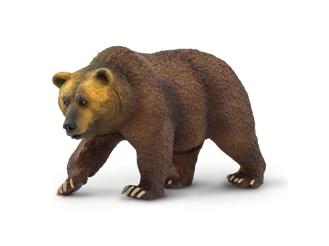 SAFARI Grizzly Bear