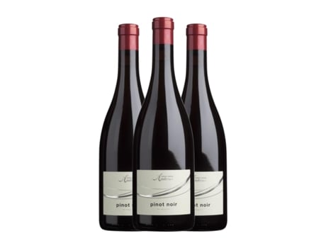 Vinho CANTINA ANDRIAN Pinot Preto Südtirol Alto Adige (0.75 L - 3 Unidades)