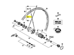 Shimano R9100 C24 Cl Rear Right Spoke