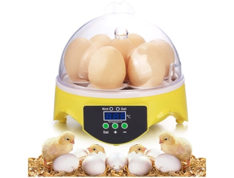 Incubadora De Ovos, Incubadoras Zsanfs