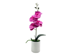 Laxiscreed Orquídea Phalaenopsis Decorativa Para Casa, Escritório Ou Estúdio, Violeta Natural