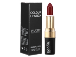 1pc Lápiz Labial Mate De Larga Duración Lipstick Brillo Labial Maquillaje Belleza Cosmético(11)