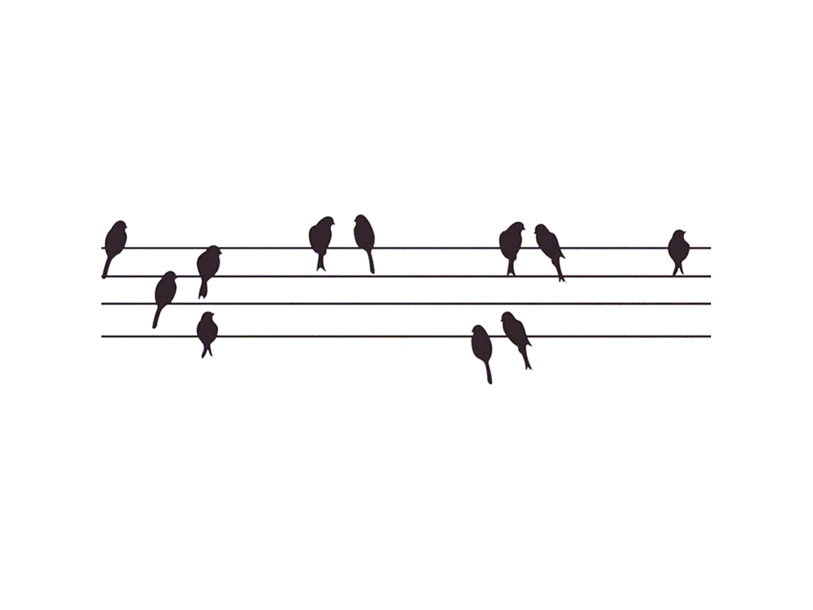 Laxiscreed Adesivo Para Fio E Pássaros - Fixação E Decoração Para Electricidade